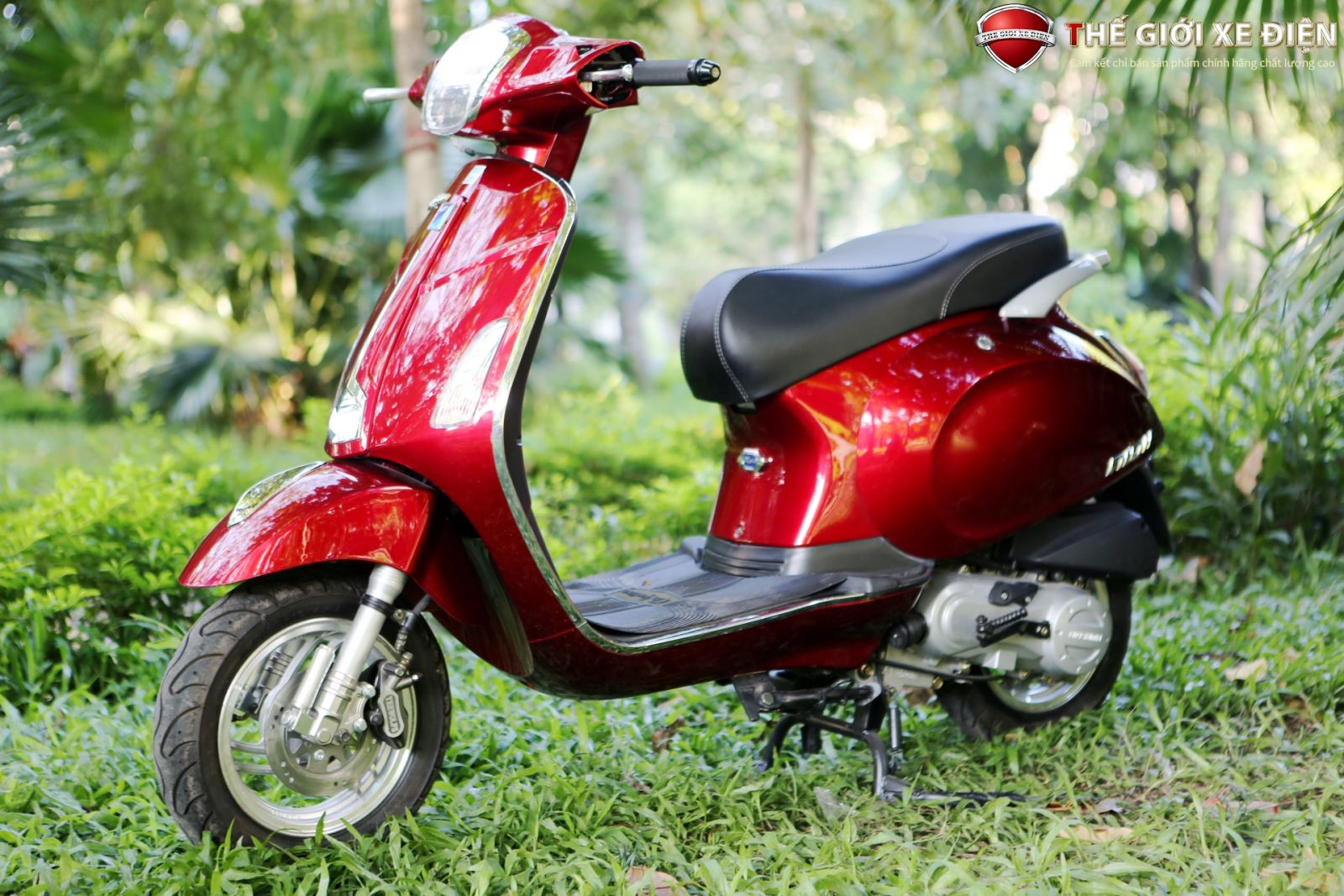 ảnh xe ga 50cc Nioshima