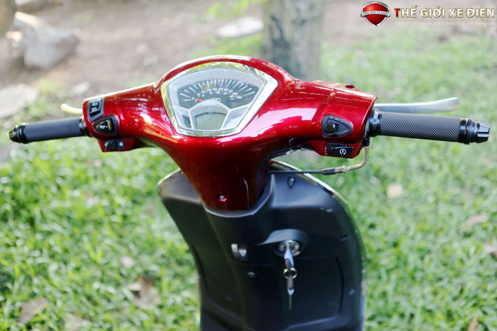 ảnh xe ga 50cc Nioshima