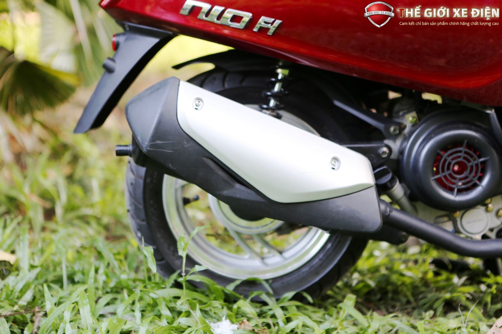 ảnh xe ga 50cc Nioshima