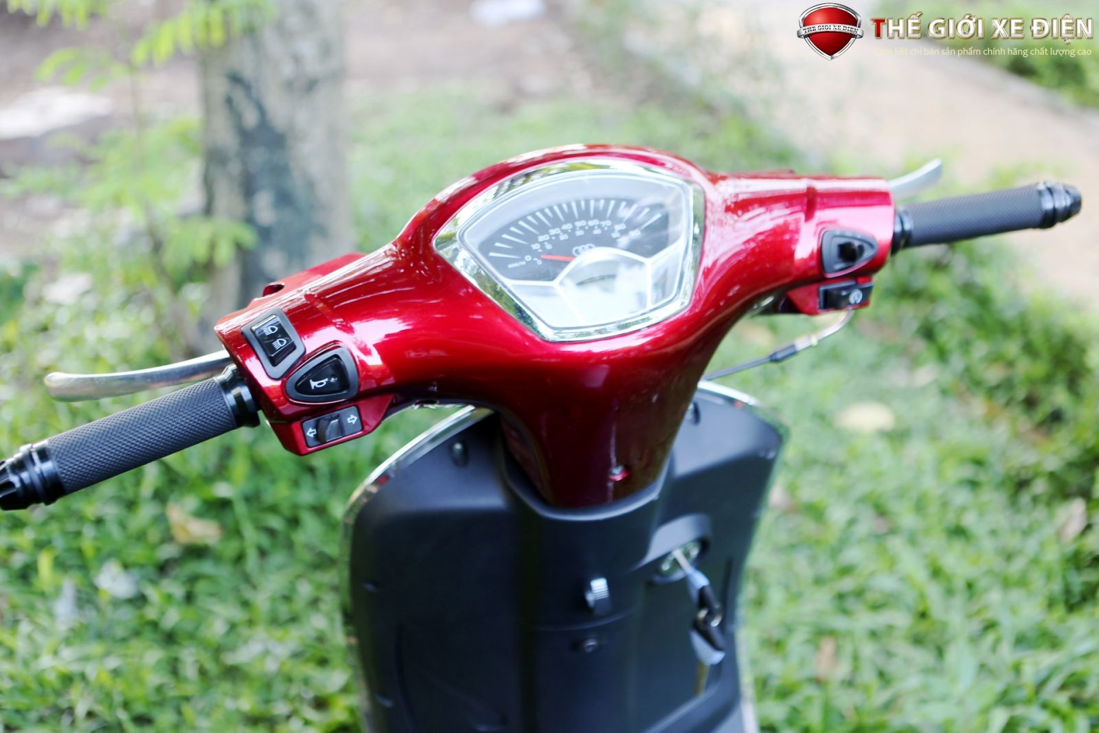 ảnh xe ga 50cc Nioshima