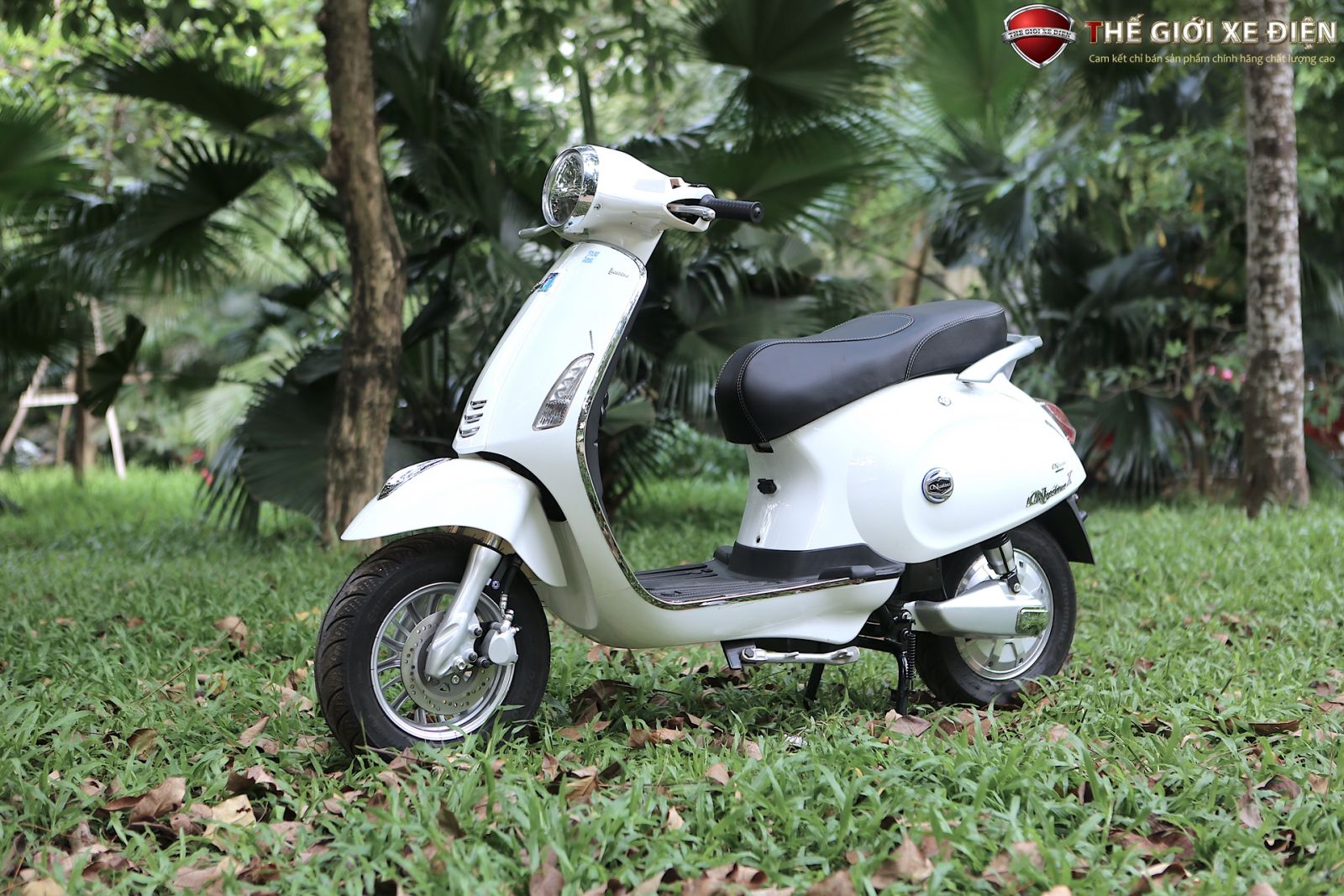 Xe điện Vespa Nioshima Đèn tròn đuôi dài 