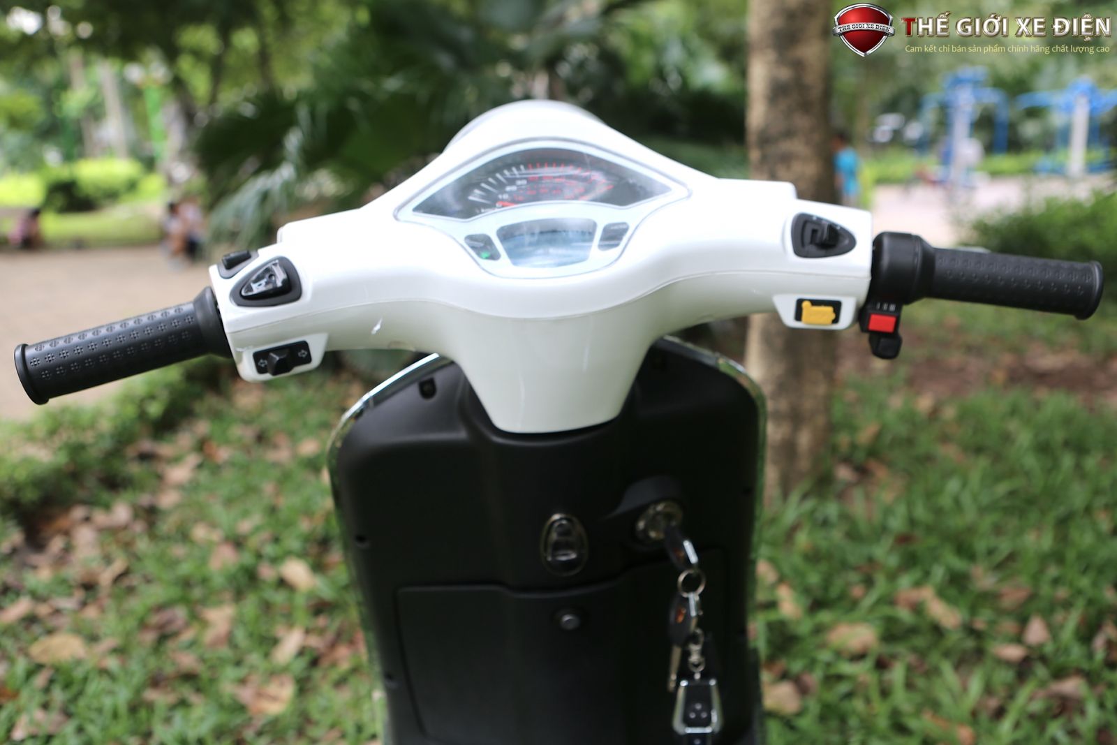 Xe điện Vespa Nioshima Đèn tròn đuôi dài 