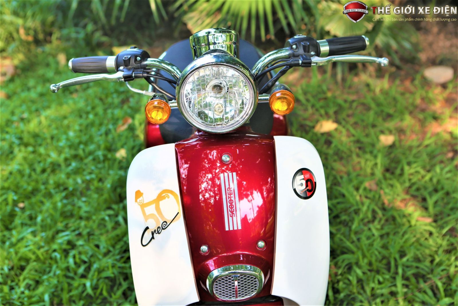 ảnh chi tiết xe ga 50cc hyosung