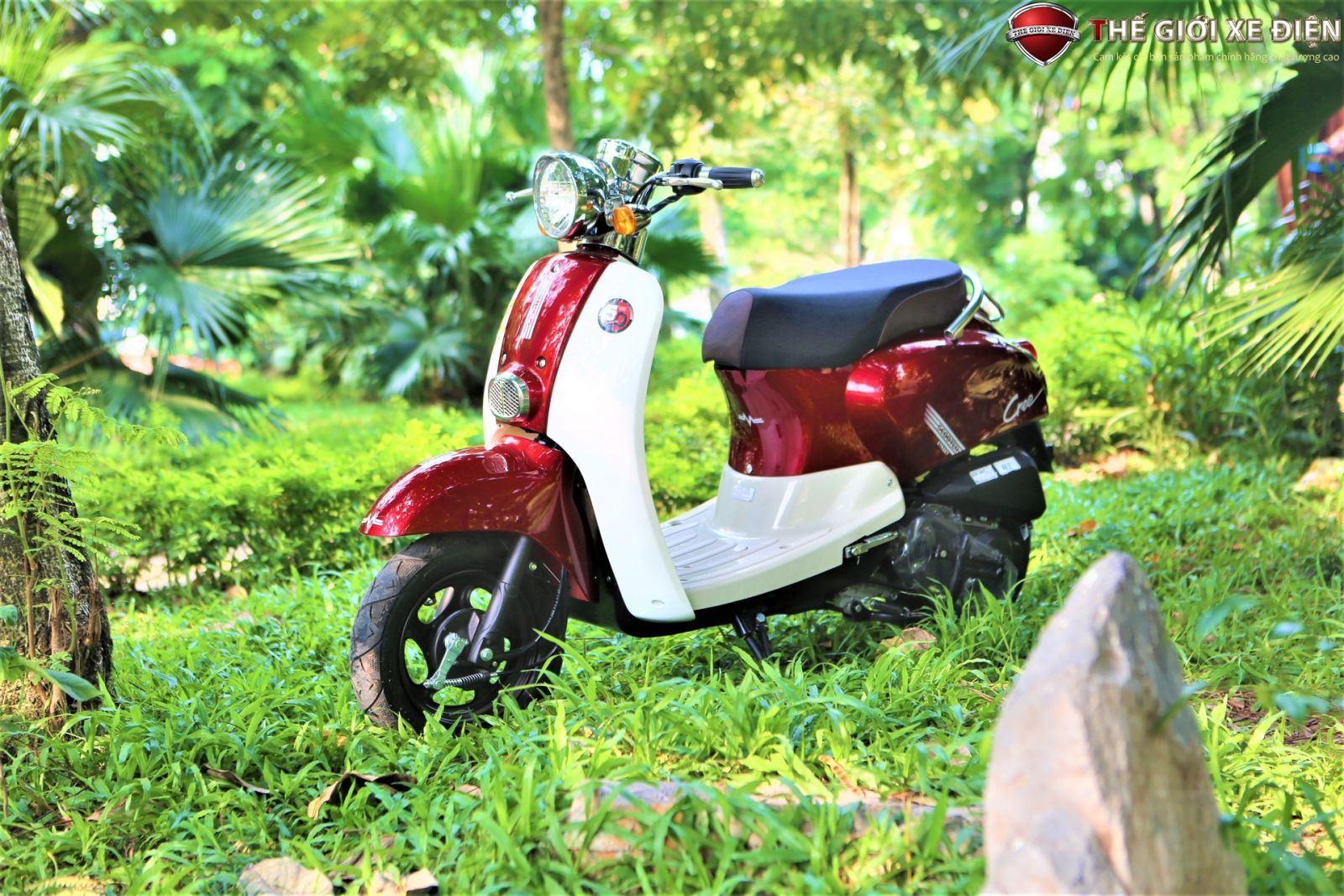 ảnh chi tiết xe ga 50cc hyosung