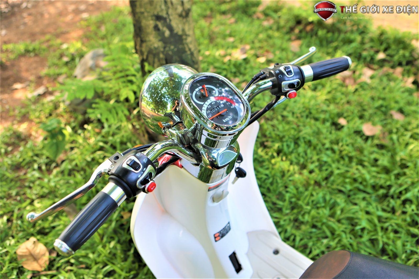 ảnh chi tiết xe ga 50cc hyosung