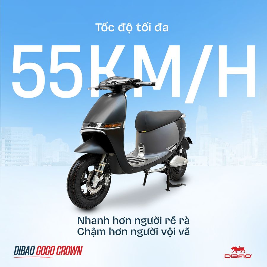 động cơ xe máy điện dibao gogo crown