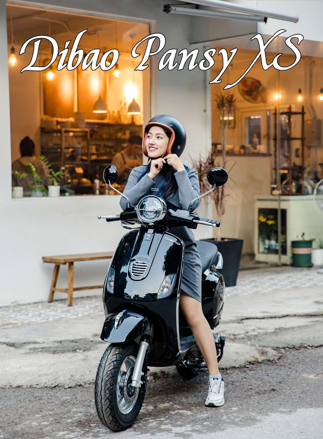xe ga 50cc dibao pansy xs