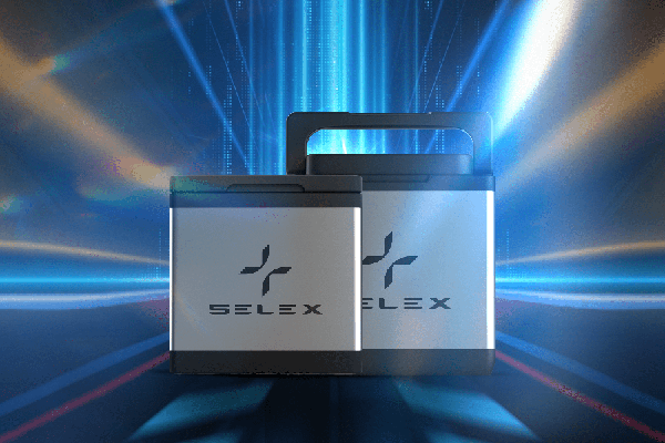 Dibao Ryan Pin Selex Motors 60V30Ah