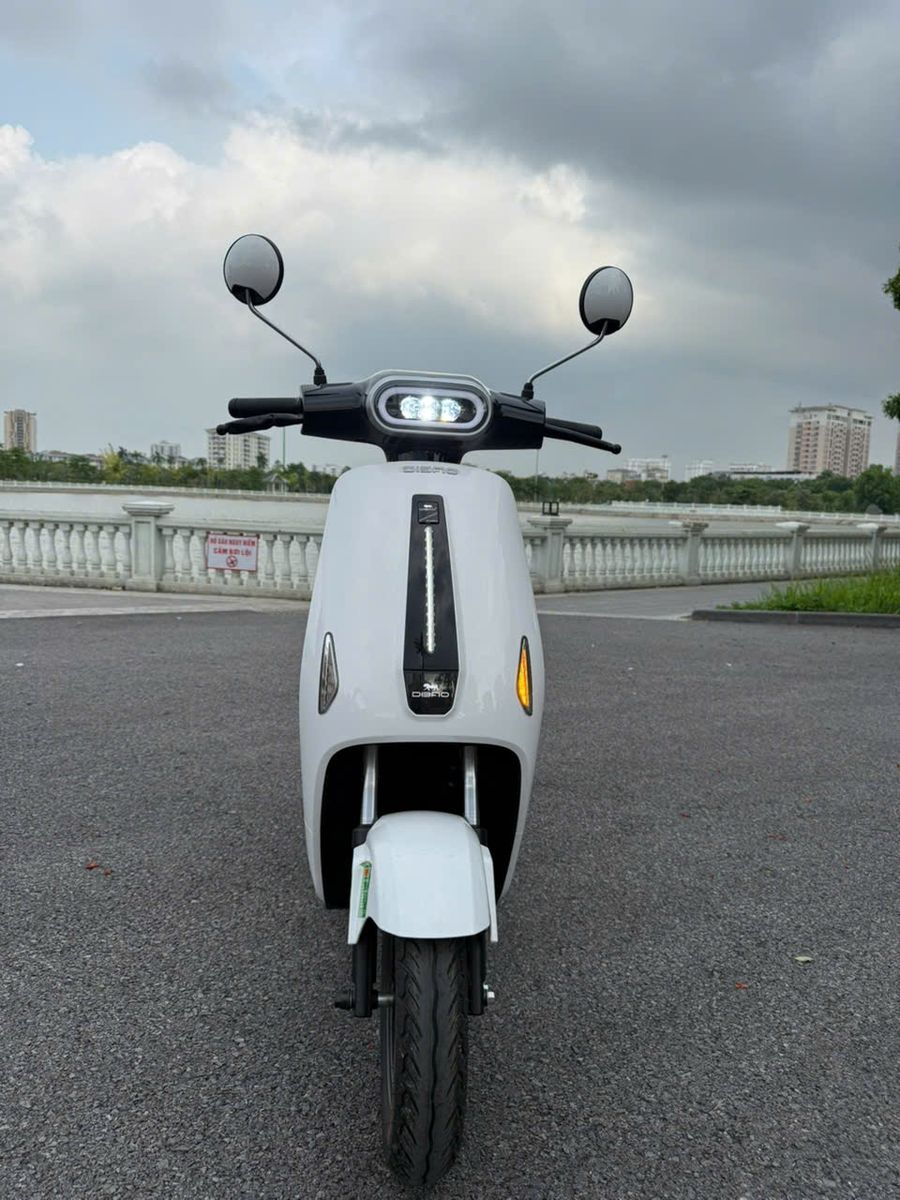 Dibao Ryan Pin Selex Motors 60V30Ah
