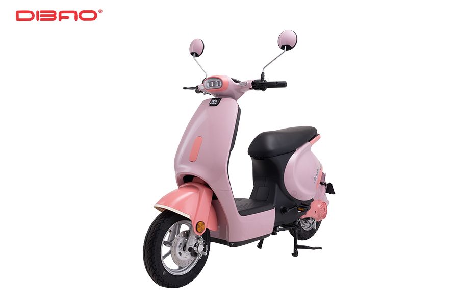 thiết kế dibao sone