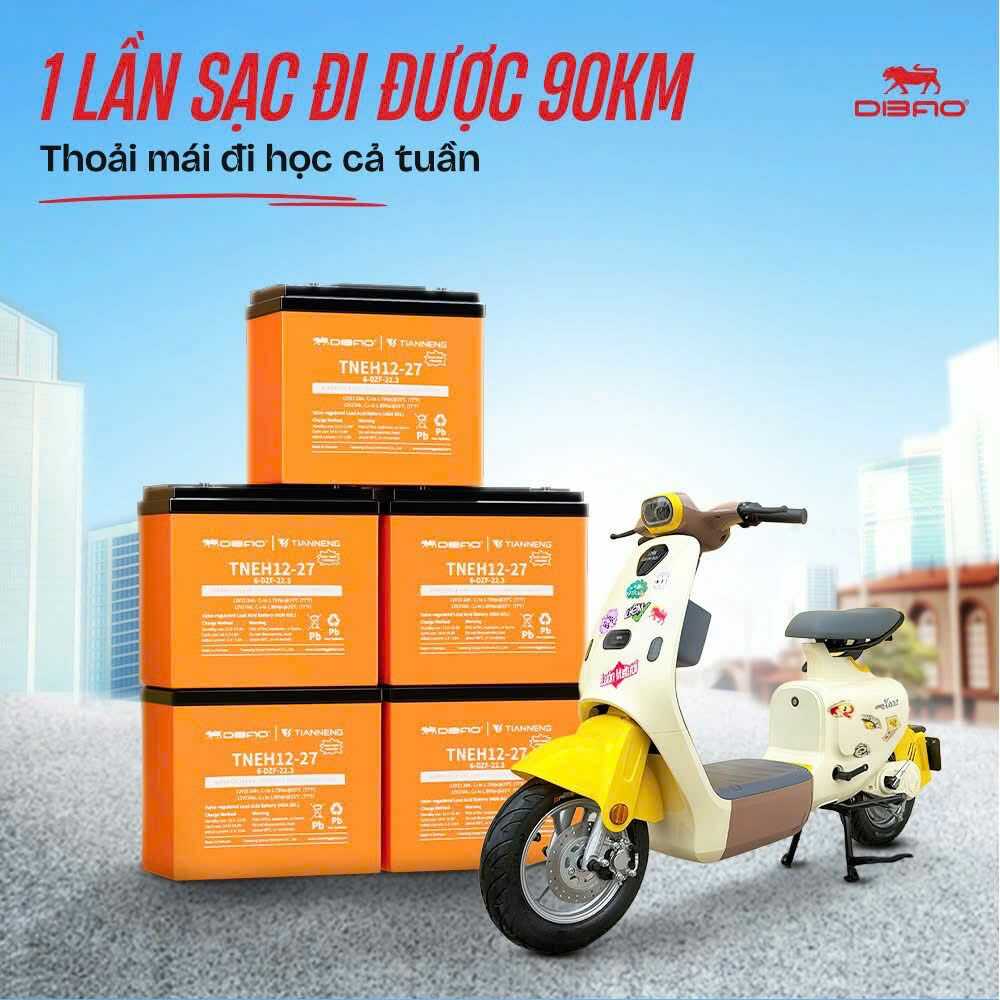 kinh nghiệm chọn xe đạp điện dùng ắc quy axit chì