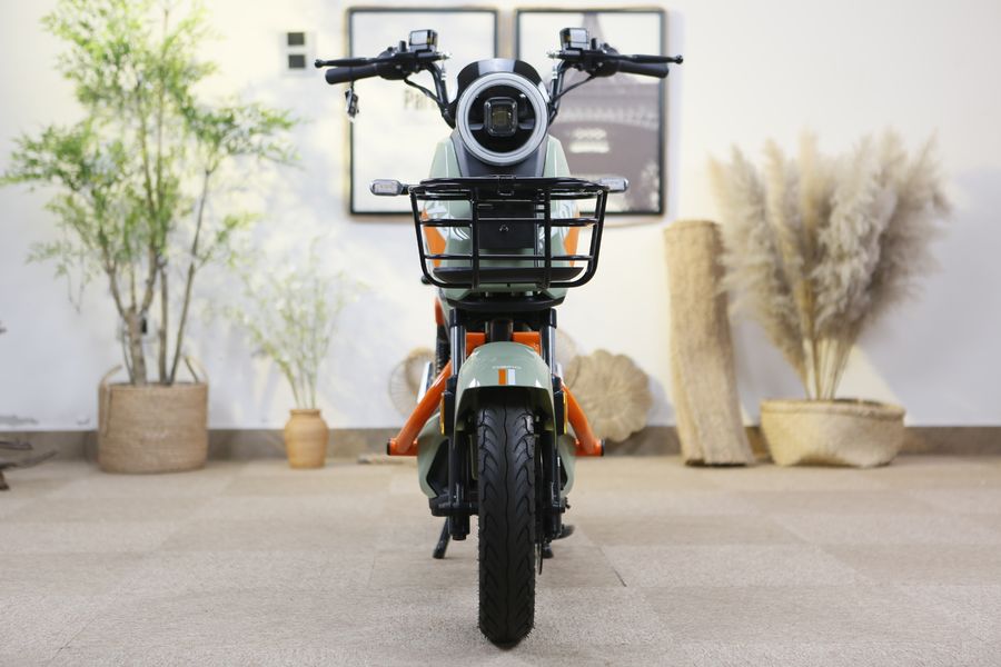 xe đạp điện Dibao MXS