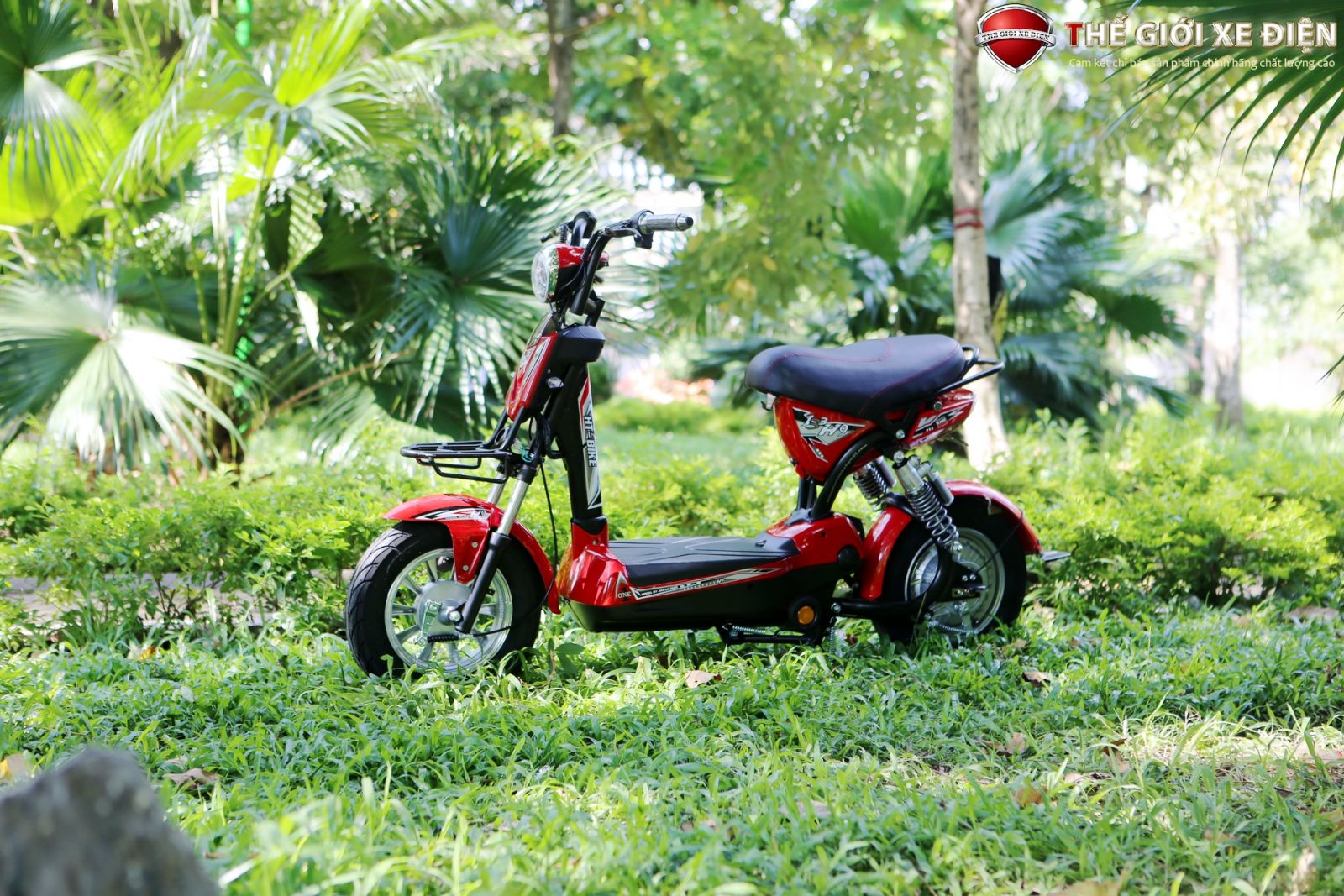 xe điện ht bike h9