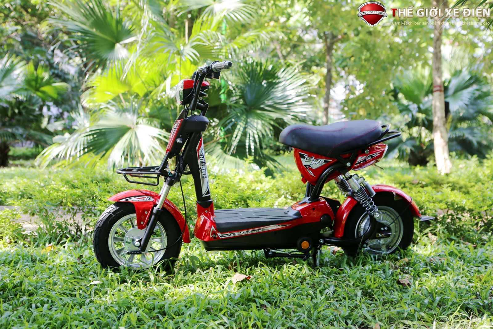 sàn để chân xe điện htbike h9