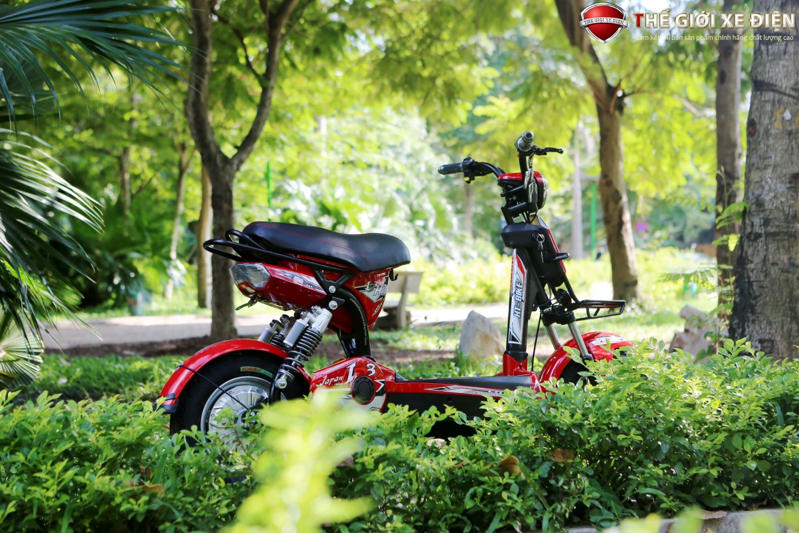 ảnh xe điện htbike h9 japan ebike