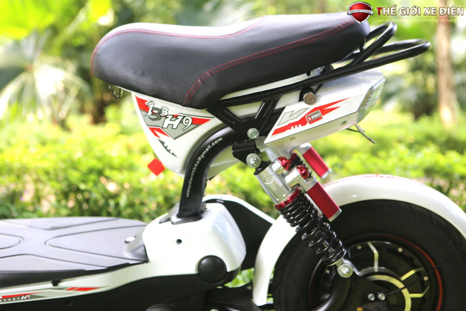 xe đạp điện htbike s9/h9