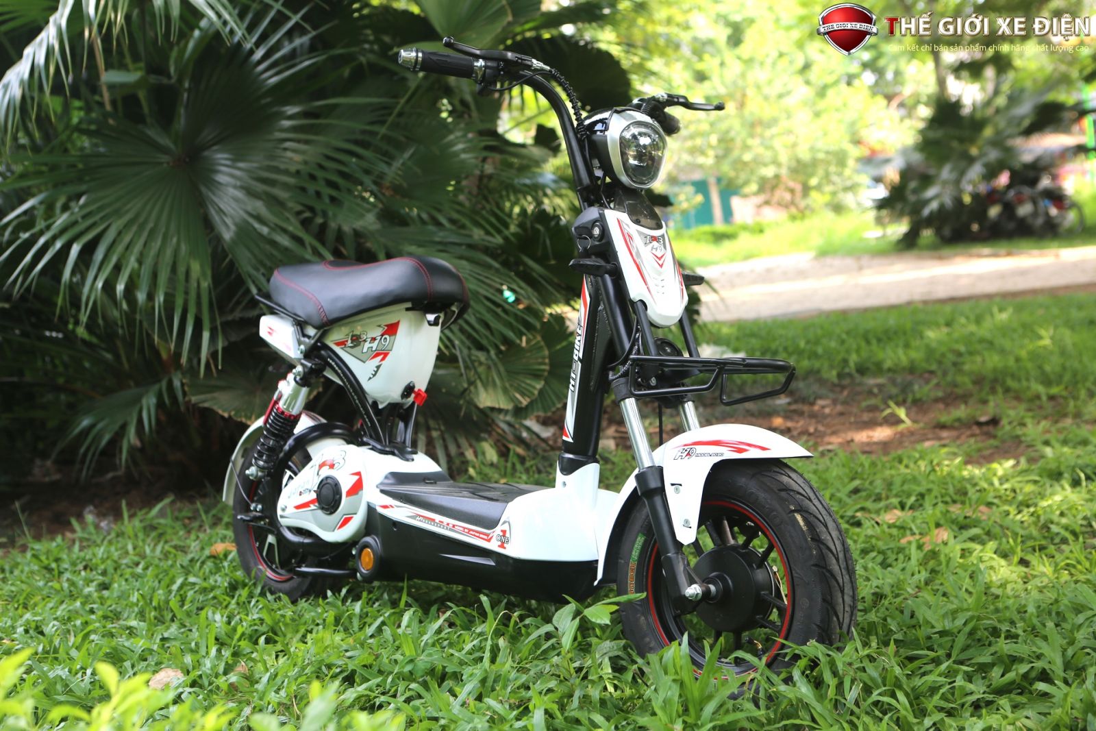 xe đạp điện htbike s9/h9