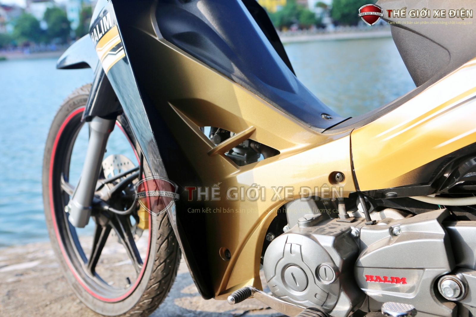 xe 50cc sirius halim