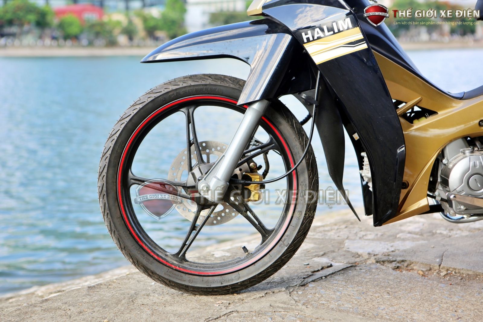 xe 50cc sirius halim