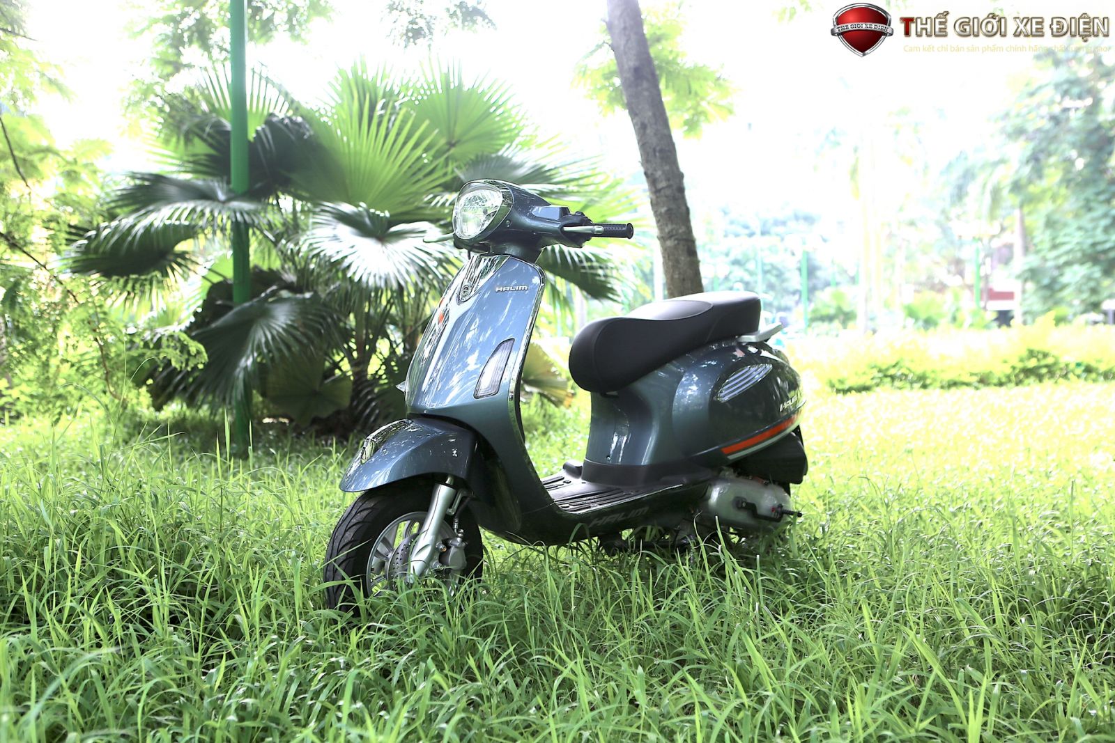 xe ga 50cc Halim