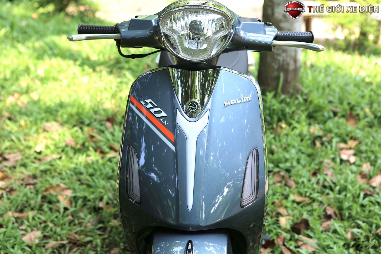 xe ga 50cc Halim