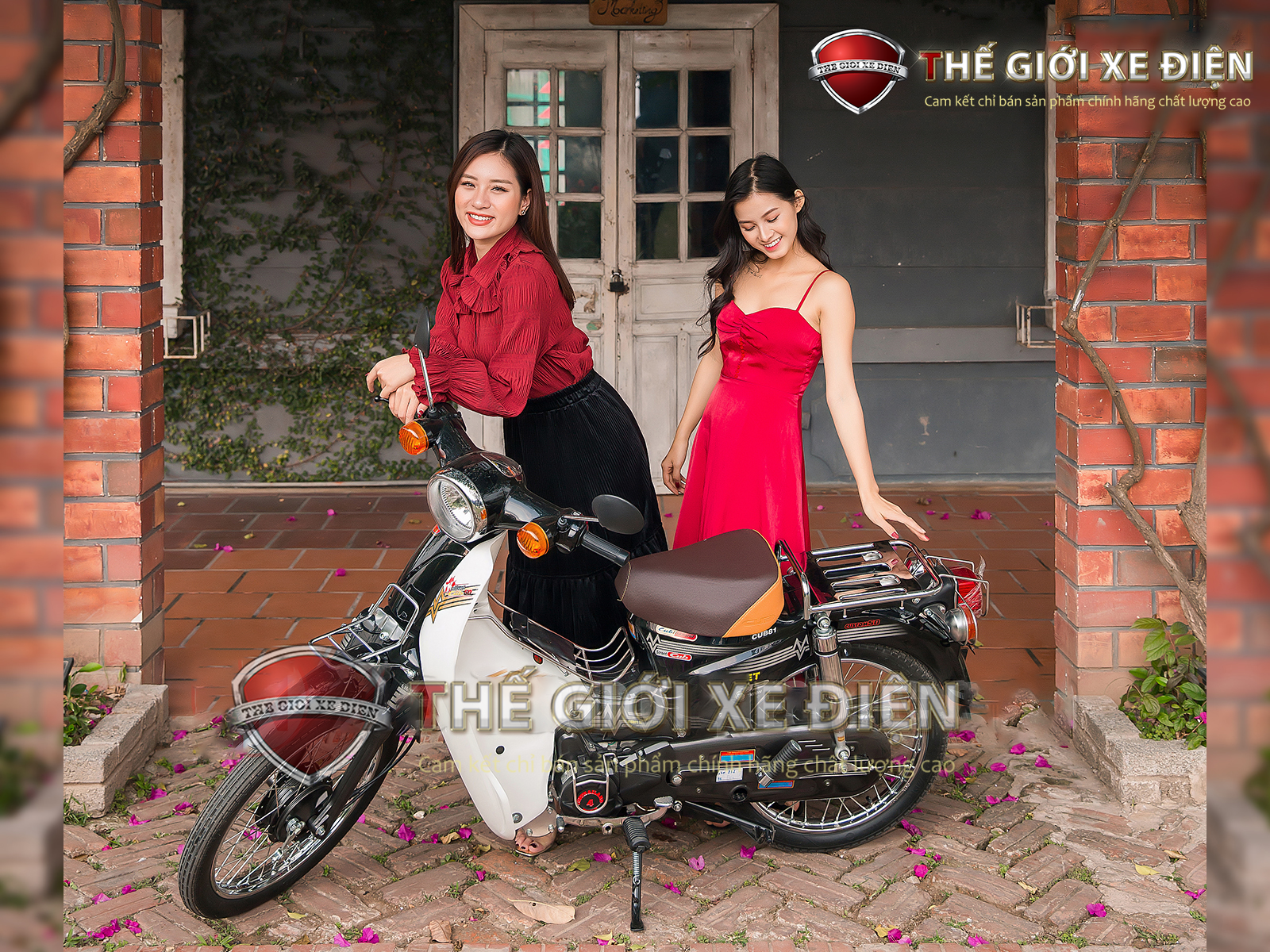 địa chỉ mua xe cub 50cc chính hãng