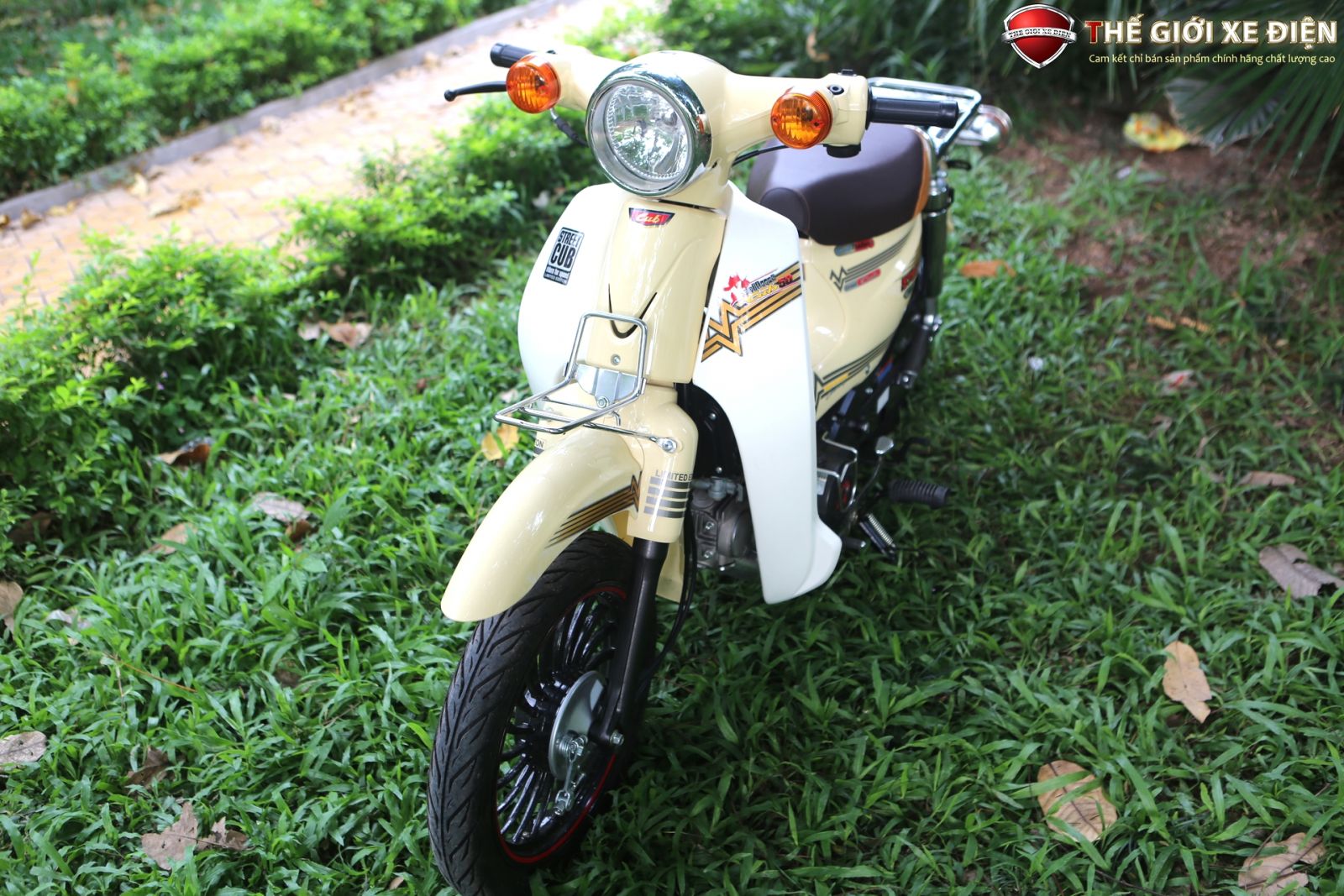 xe cub 50cc hyosung