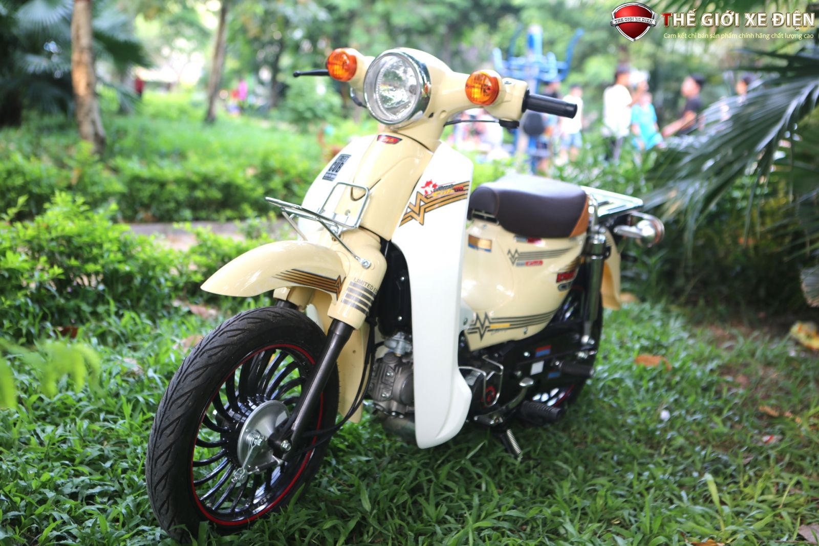 Xe Máy 50cc Cub Thái Lan Vành Đúc | Nhập Khẩu Chính Hãng Hyosung