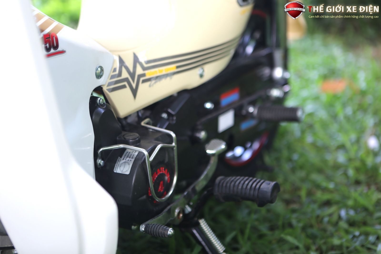 Xe Máy 50cc Cub Thái Lan Vành Đúc | Nhập Khẩu Chính Hãng Hyosung