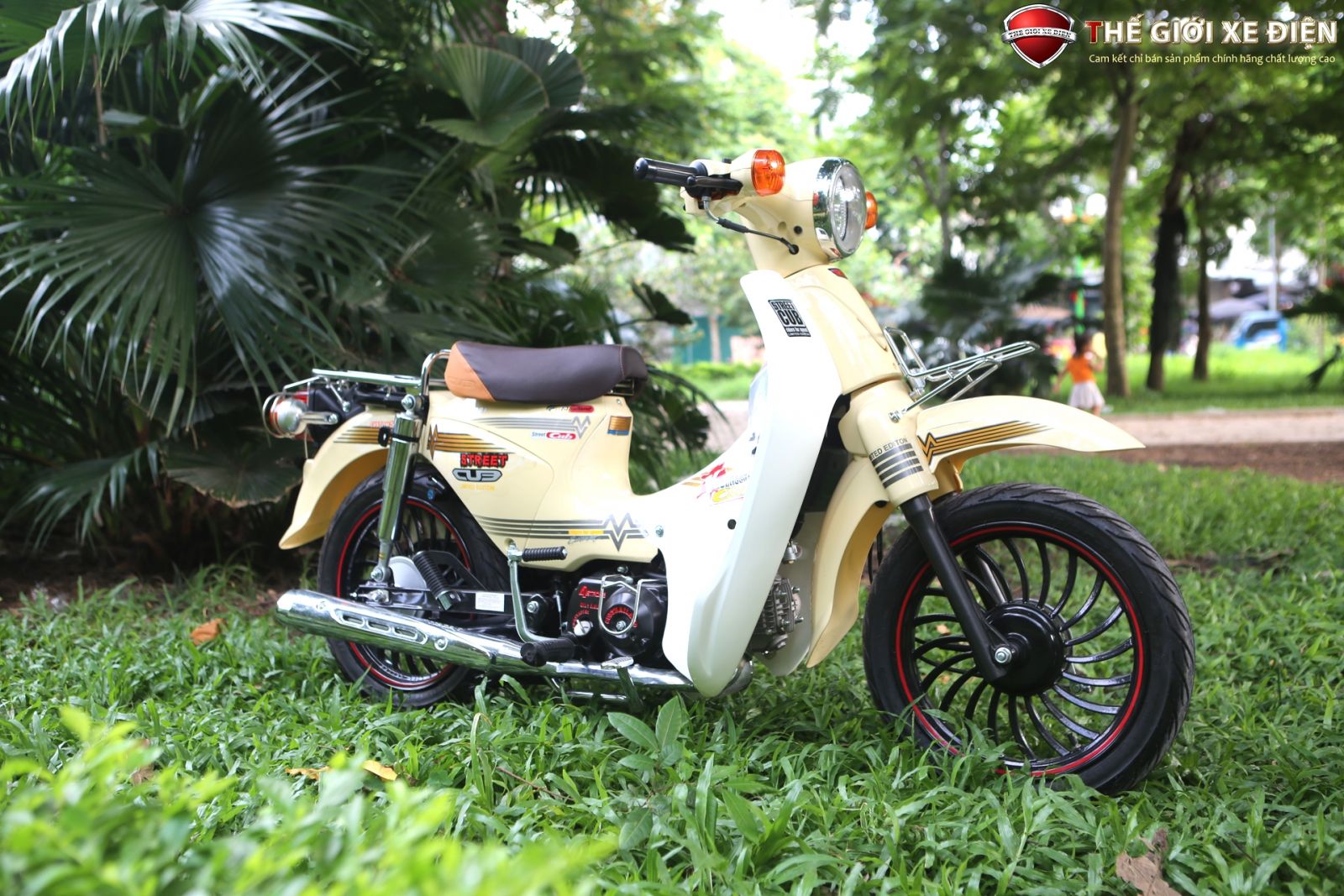 Xe Máy 50cc Cub Thái Lan Vành Đúc | Nhập Khẩu Chính Hãng Hyosung