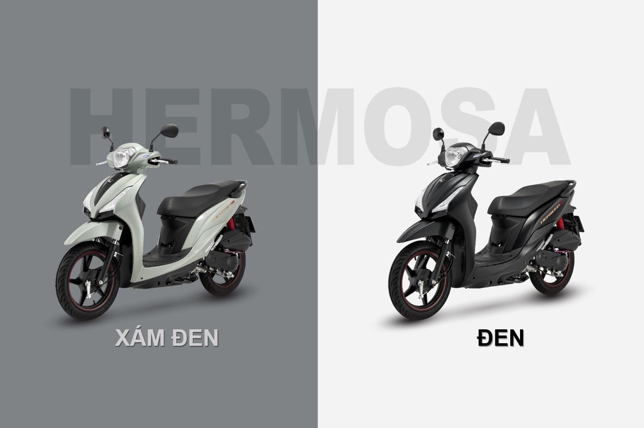 kymco candy hermosa fi