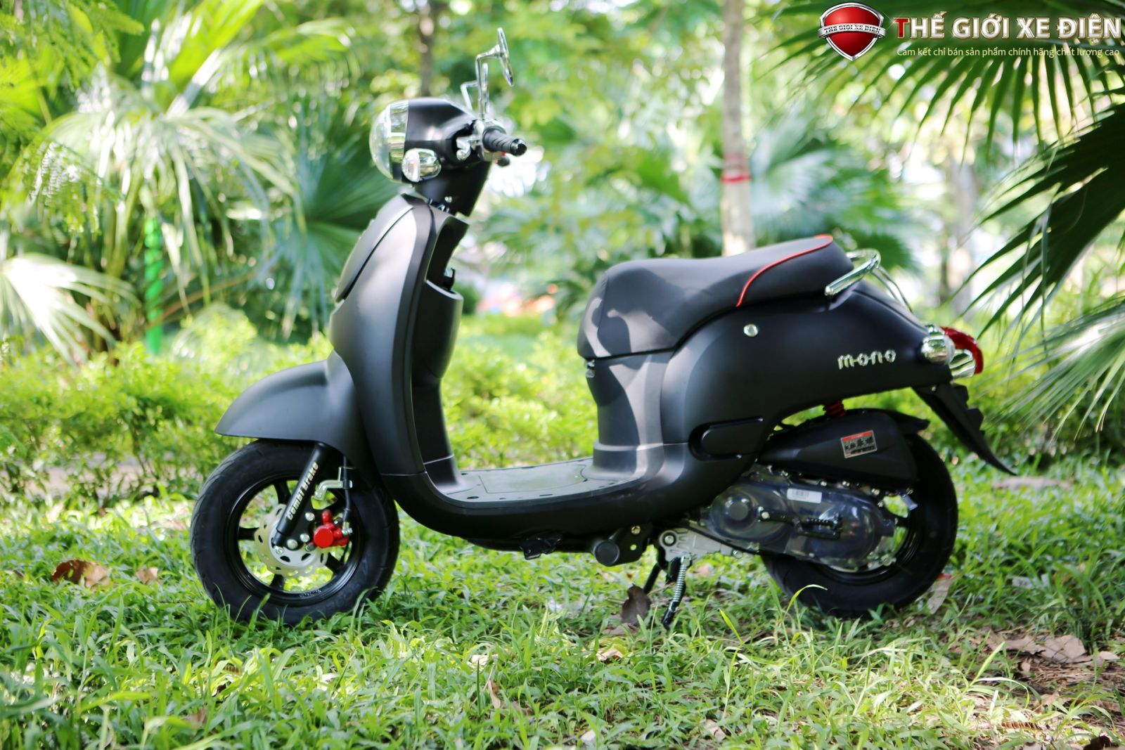 xe ga 50cc mono