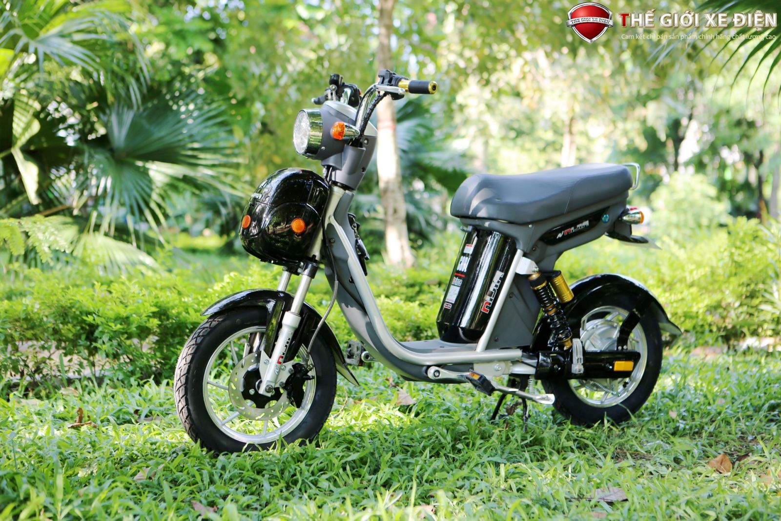 xe đạp điện ninja 20a