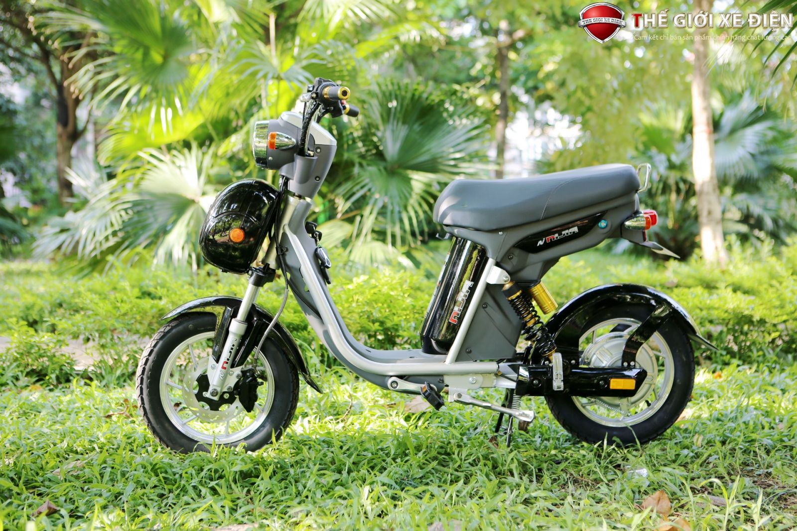 xe đạp điện ninja 20a