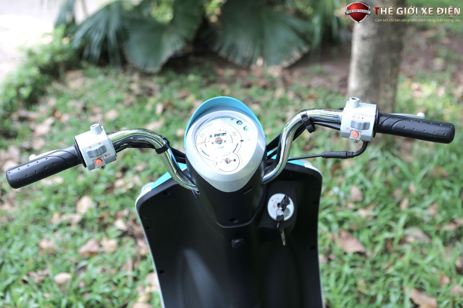 xe ga 50cc sym elite