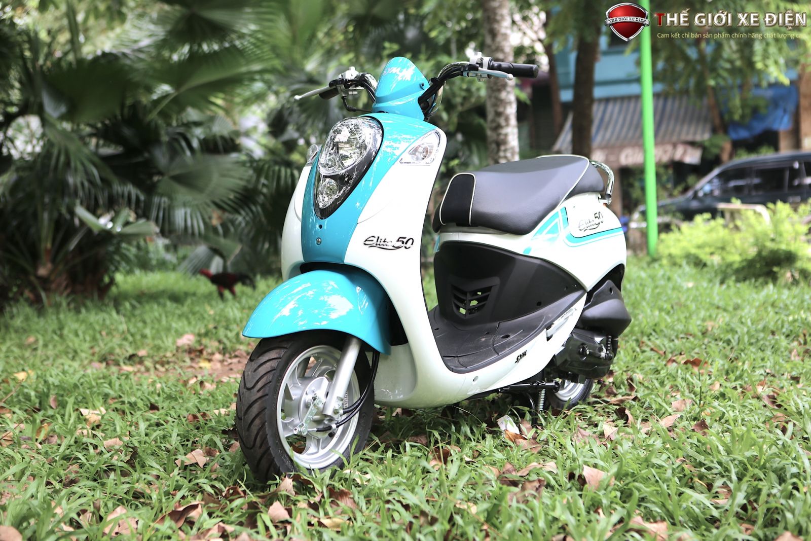 Ảnh Chi Tiết Xe Ga 50cc SYM Xanh - Trắng | Thế Giới Xe Điện - Xe Máy 50cc