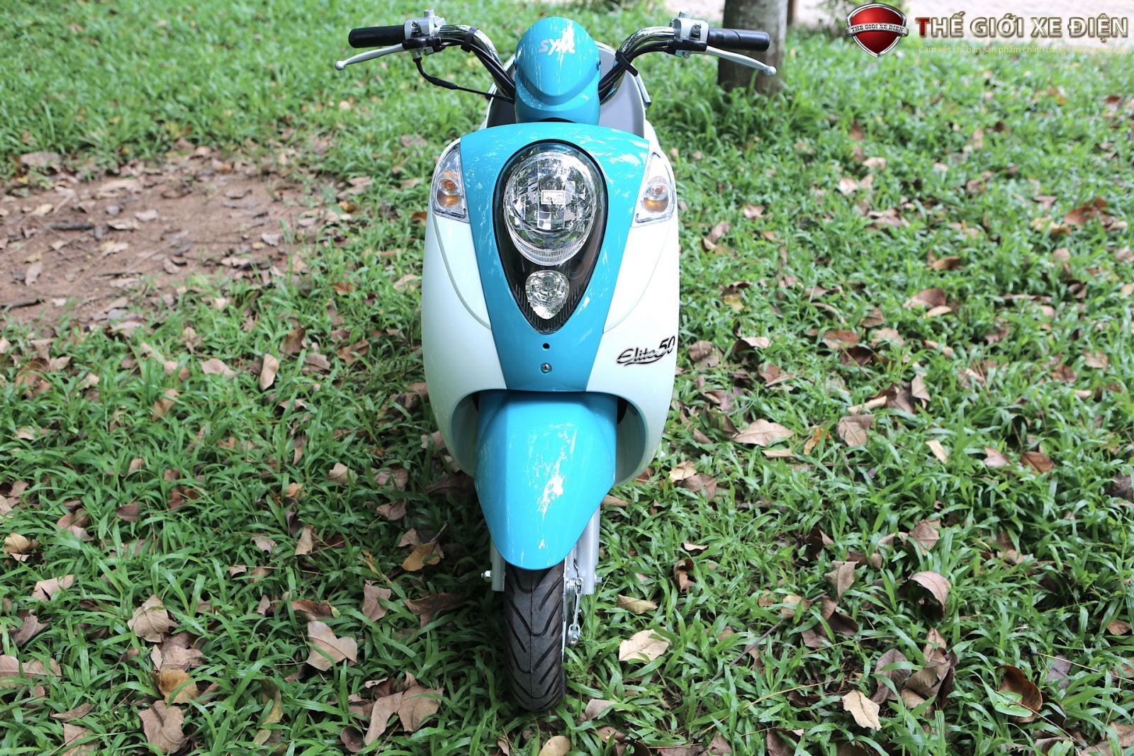 Ảnh Chi Tiết Xe Ga 50cc SYM Xanh - Trắng | Thế Giới Xe Điện - Xe Máy 50cc