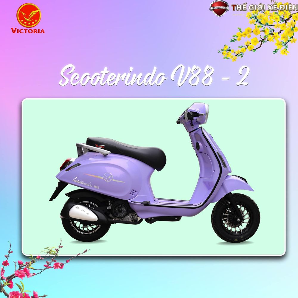 sàn để chân scooter indo