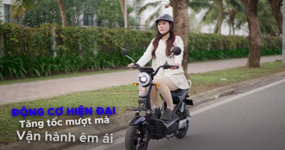 xe đạp điện victoria xbull v5-1