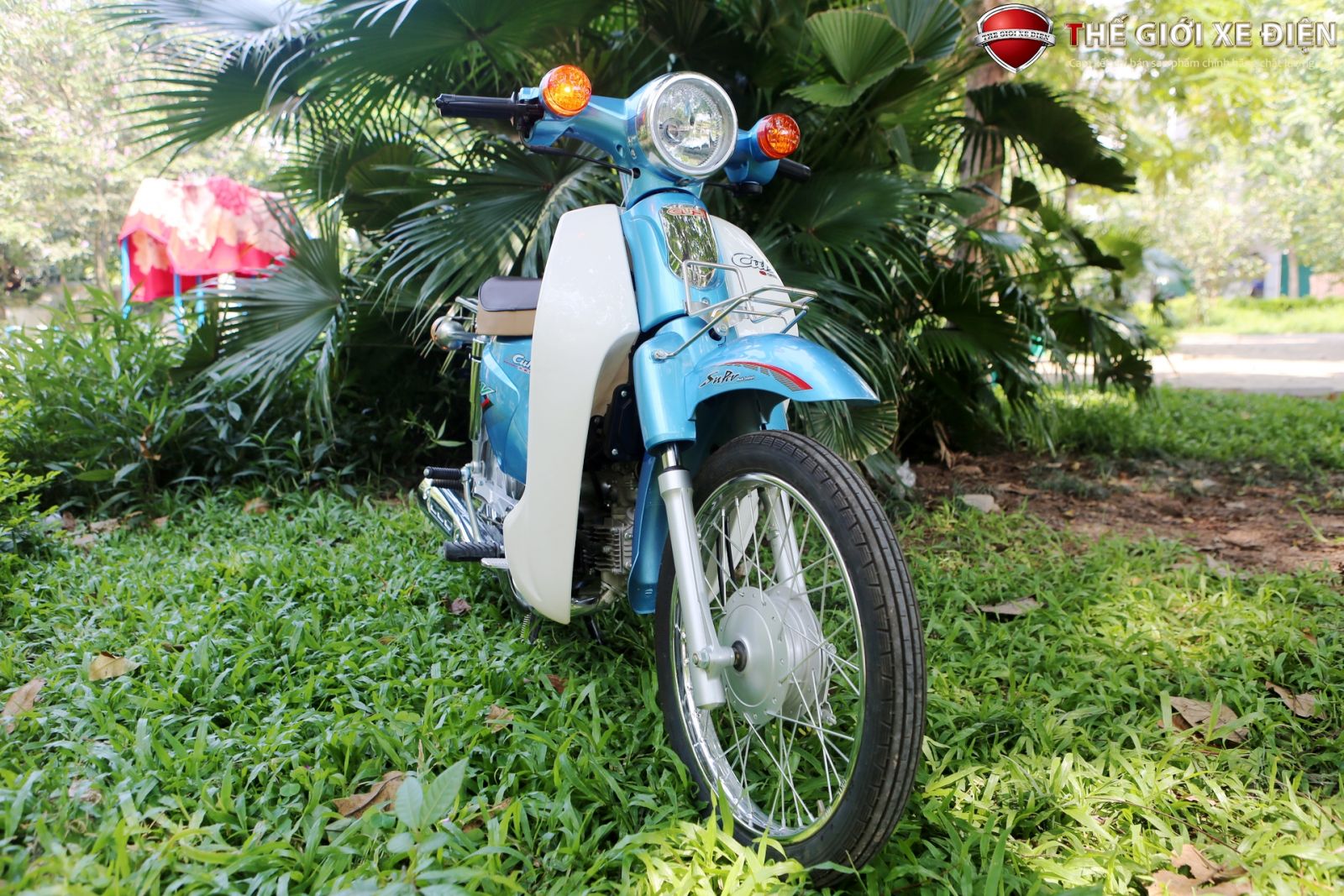 xe cub việt thái 50cc