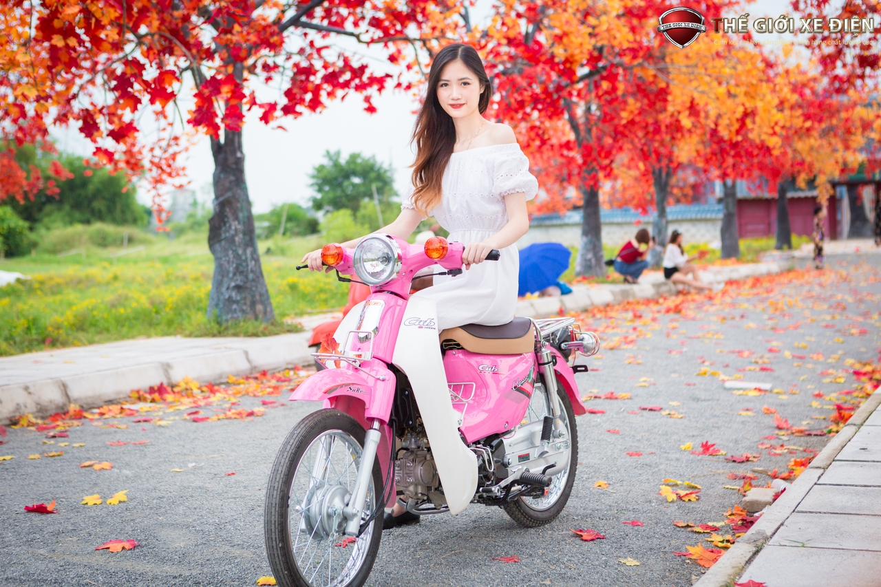 xe cub 50cc việt thái