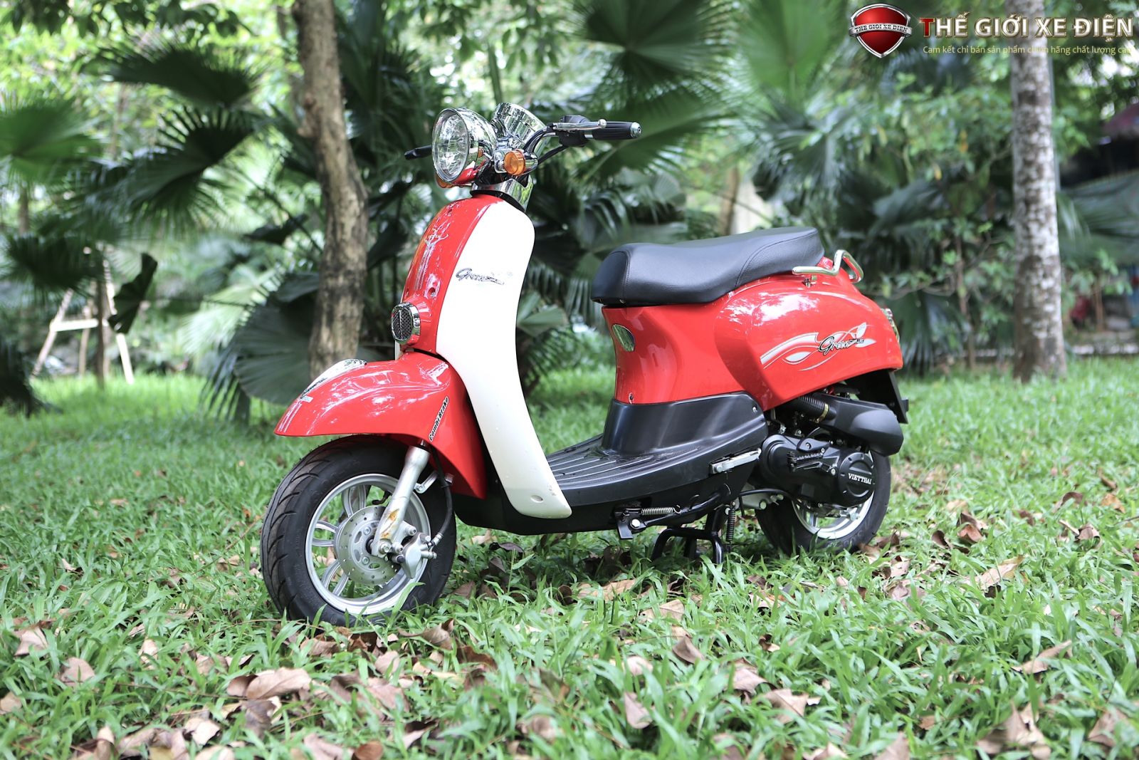 xe ga 50cc scoopy việt thái