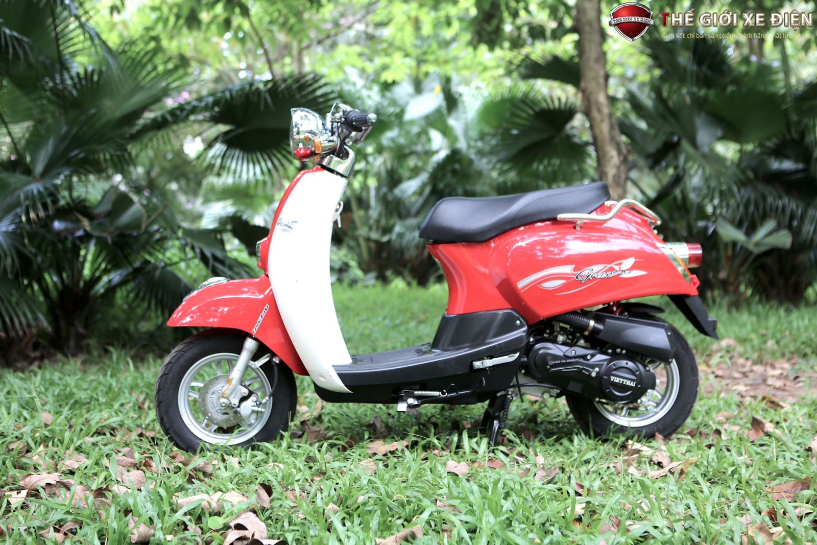 xe ga 50cc scoopy vt