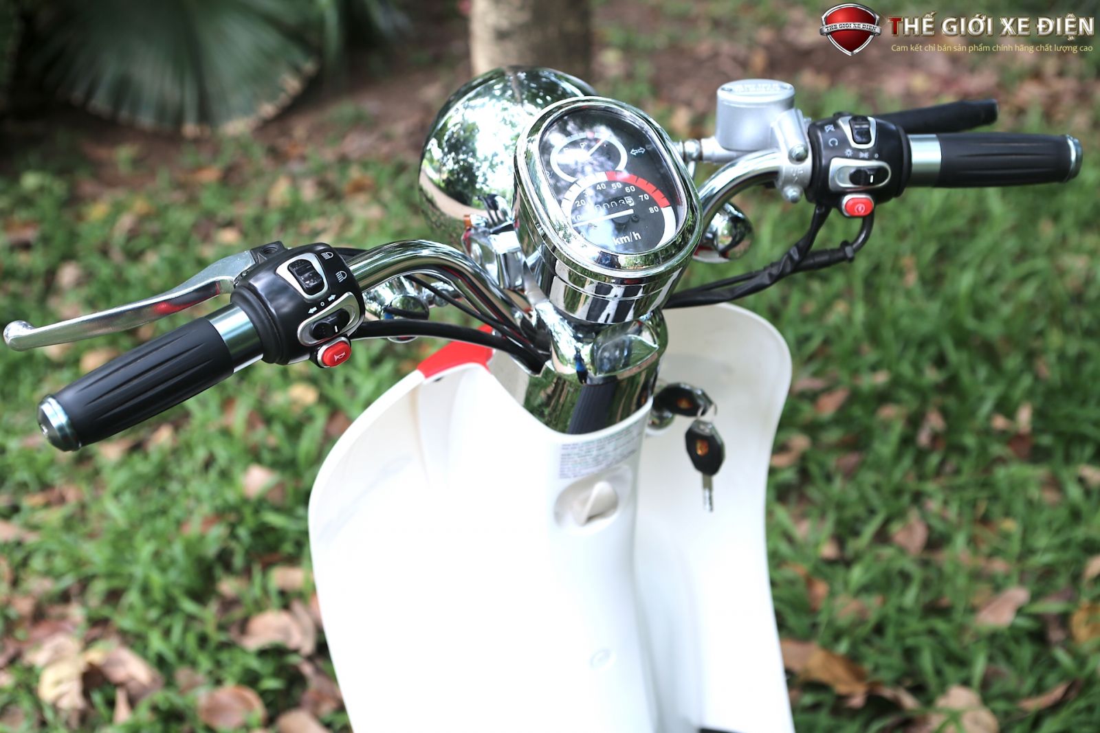 xe ga 50cc scoopy vt