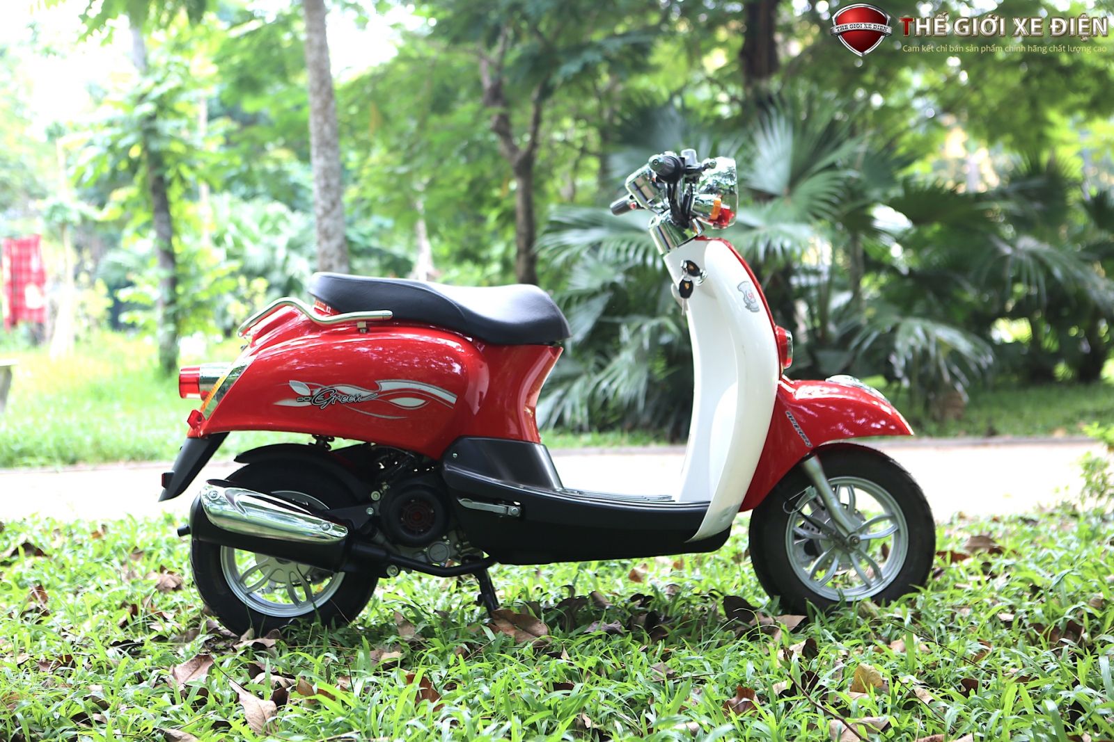 xe-ga-scoopy-50cc-viet-thai