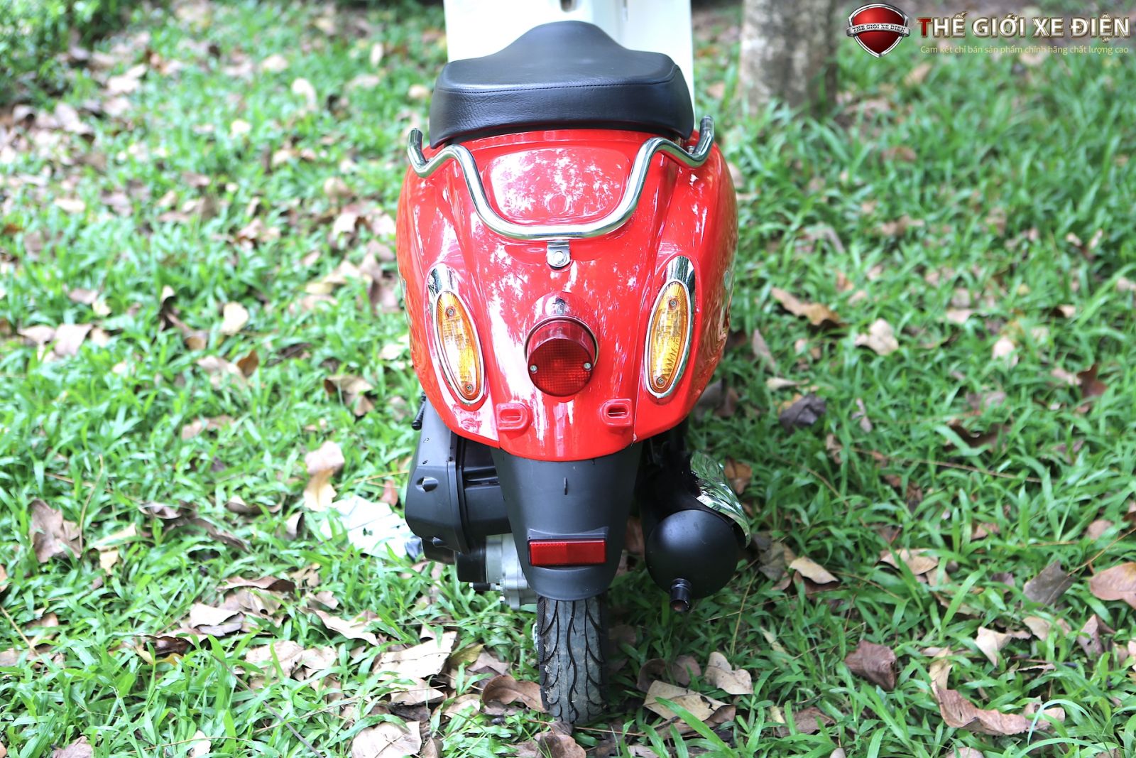 đuôi xe ga 50cc scoopy việt thái