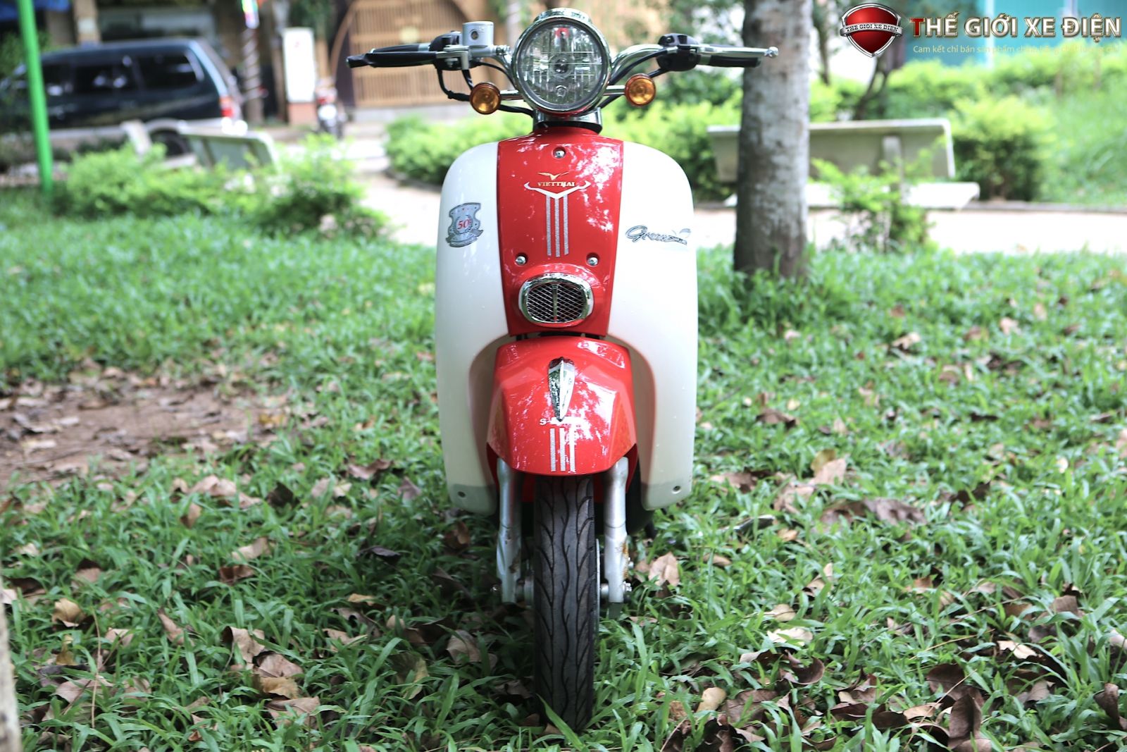 xe ga 50cc scoopy vt