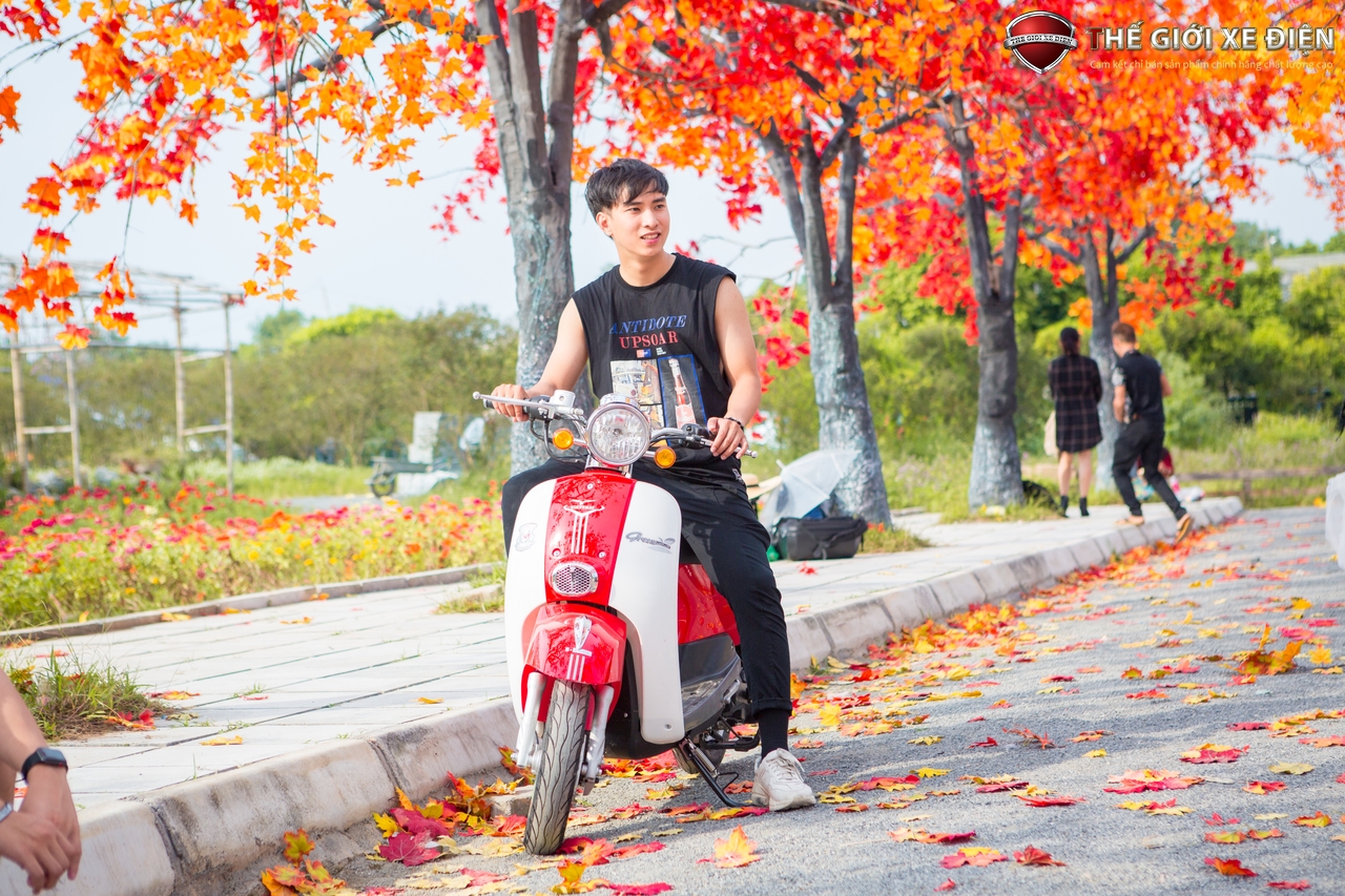 xe ga 50cc scoopy việt thái