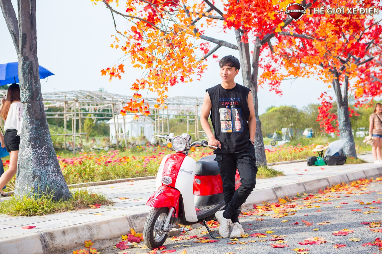 xe ga 50cc scoopy việt thái