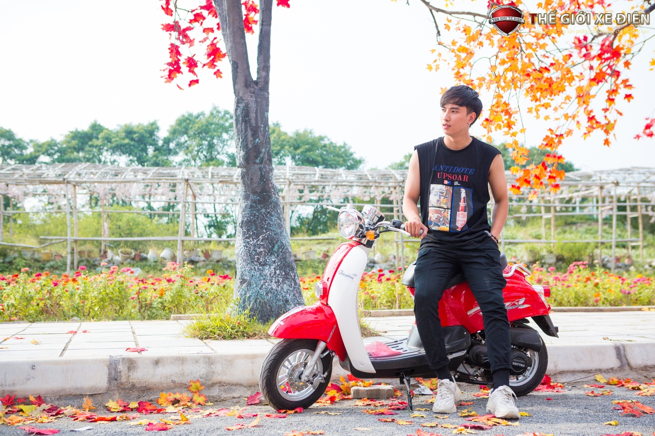 xe ga 50cc scoopy việt thái